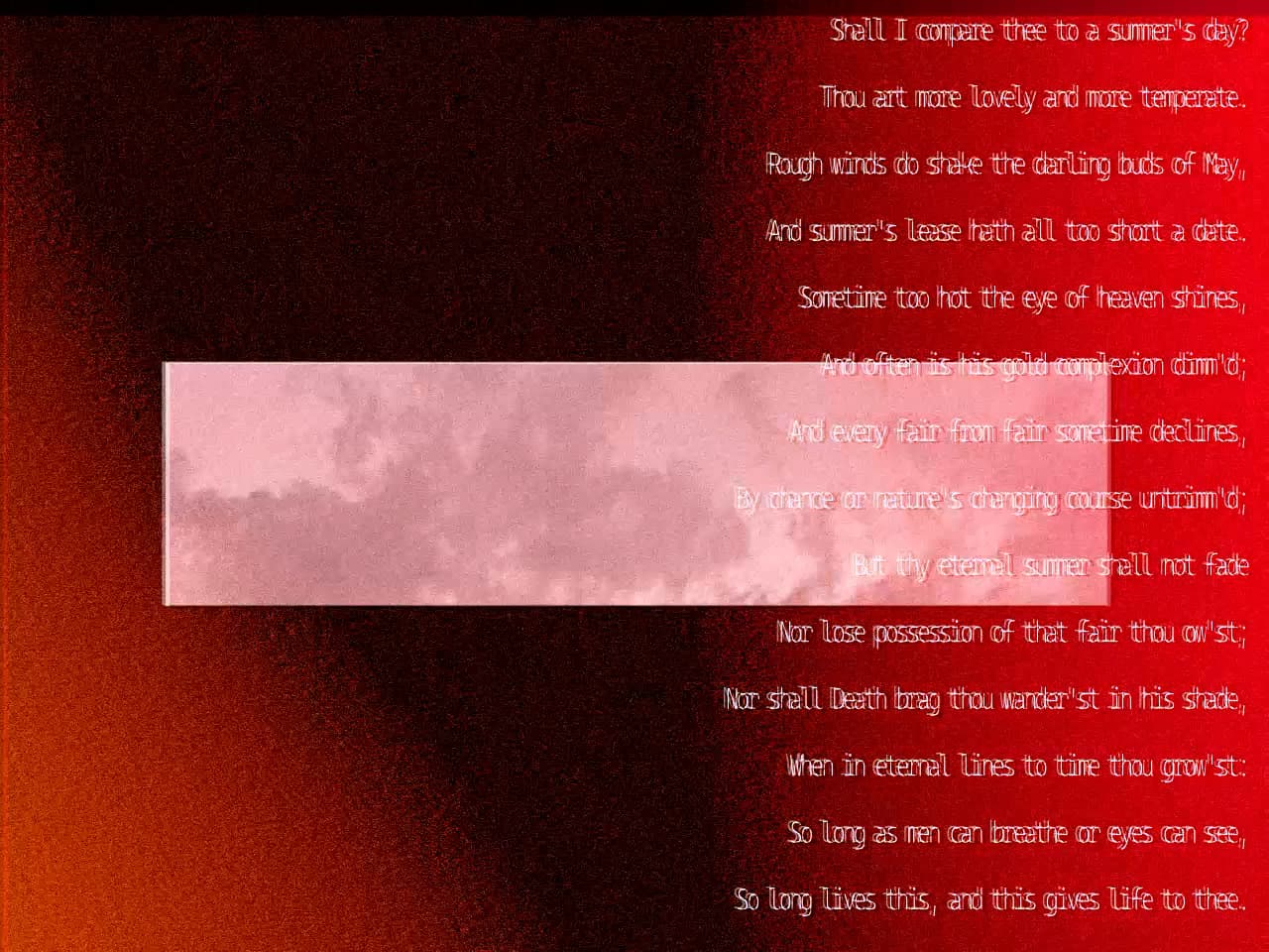 Ephemeral summer image 4